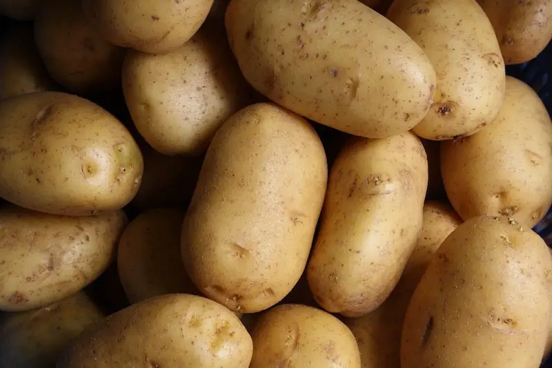 Couch Potato Portfolio Review and ETFs (Scott Burns, 2024)